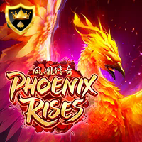 PHOENIX RISES