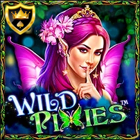 WILD PIXIES